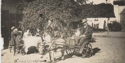 simpatico angolo di bosco 1909.jpg (229724 byte)