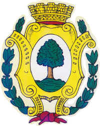 nuovo stemma bosco.jpg (289045 byte)