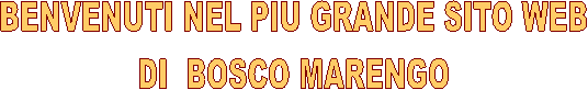 BENVENUTI NEL PIU GRANDE SITO WEB
DI  BOSCO MARENGO